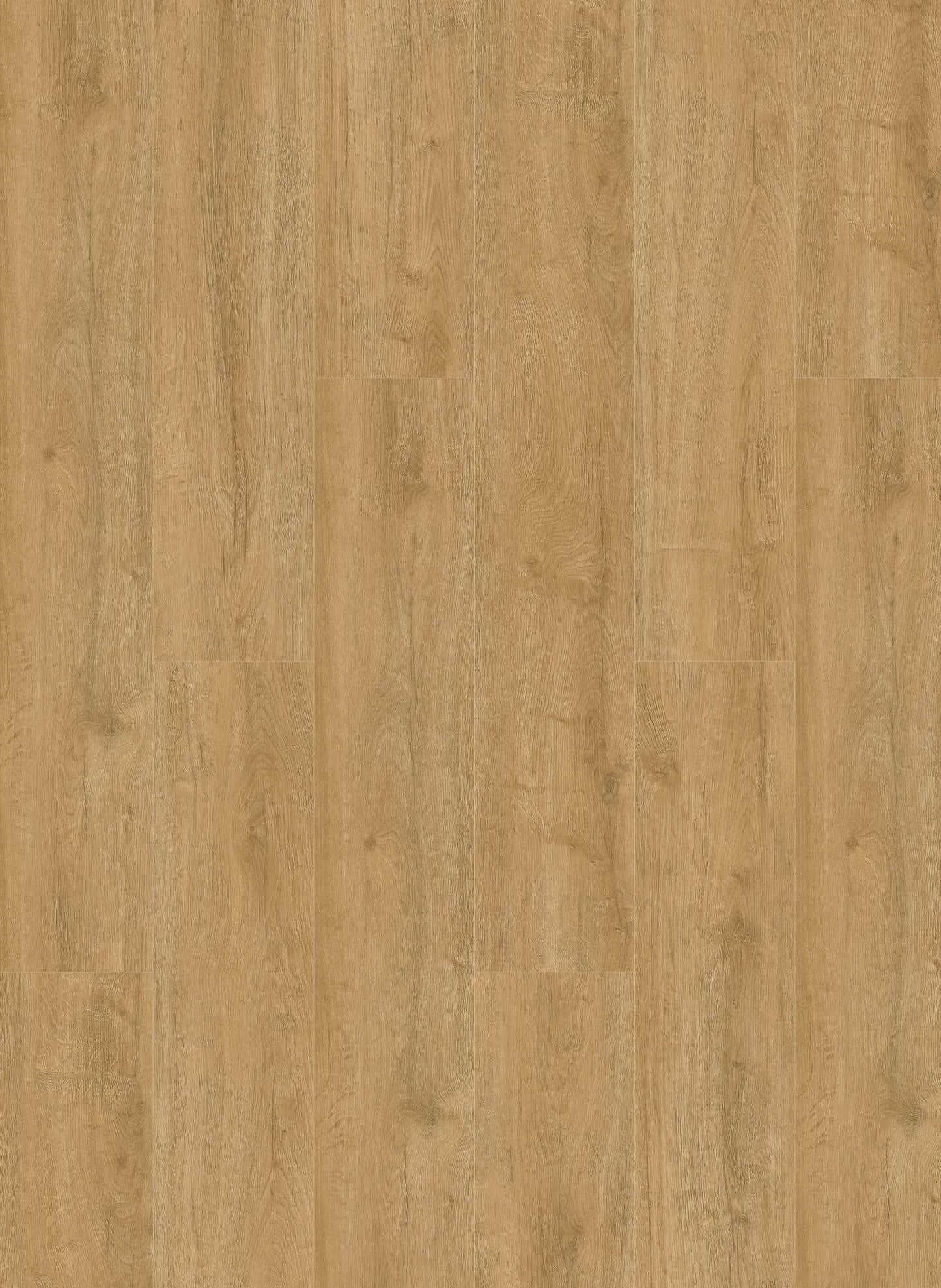 Gelasta Oakland 6101 – Naturel – Rechte plank PVC