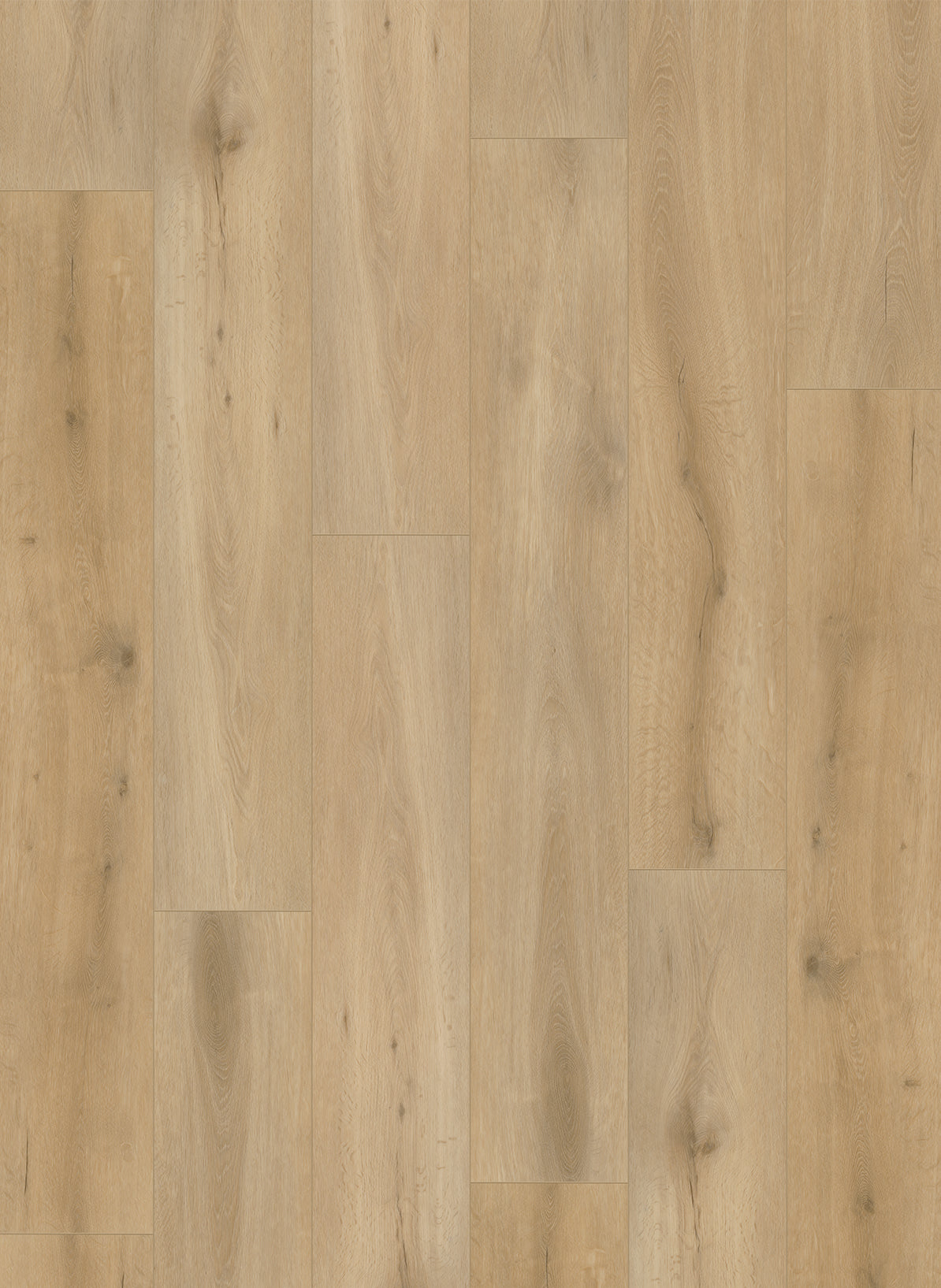 Gelasta Callisto 4101 – Natural Oak Light – Rechte plank PVC