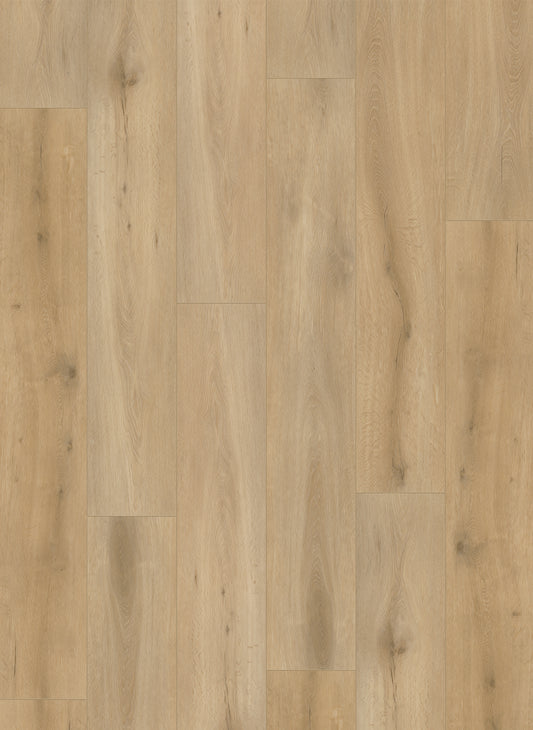 Gelasta Callisto 4101 – Natural Oak Light – Rechte plank PVC