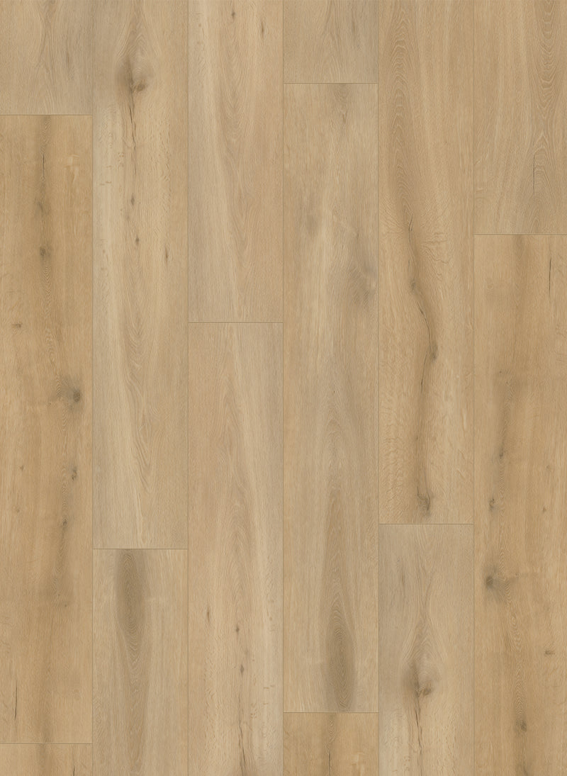 Gelasta Callisto 4101 – Natural Oak Light – Rechte plank PVC