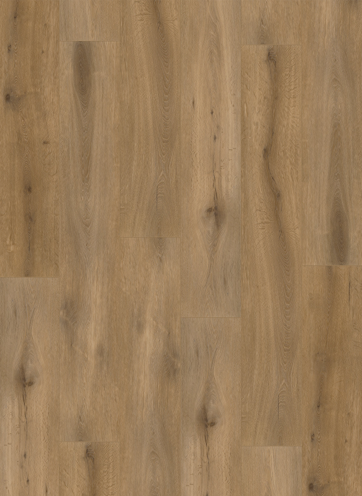 Gelasta Callisto 4102 – Natural Oak – Rechte plank PVC